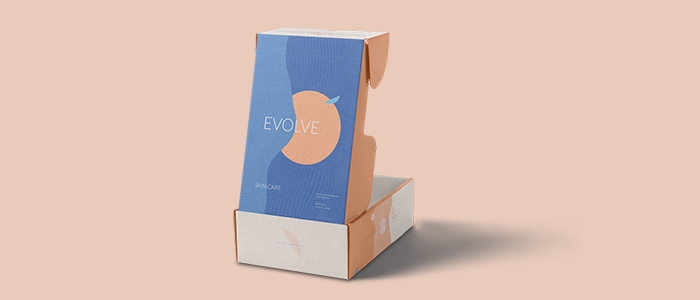 mailer box (small business packaging idea)